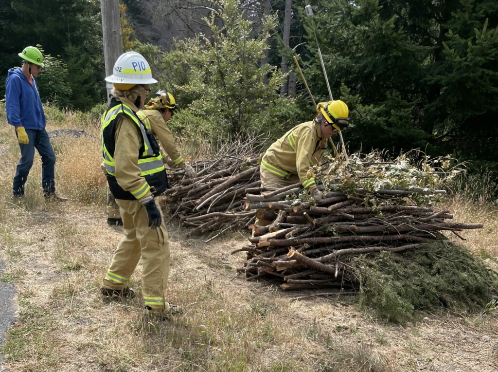 Four members of a chipper crew with piles of vegetation before chipping